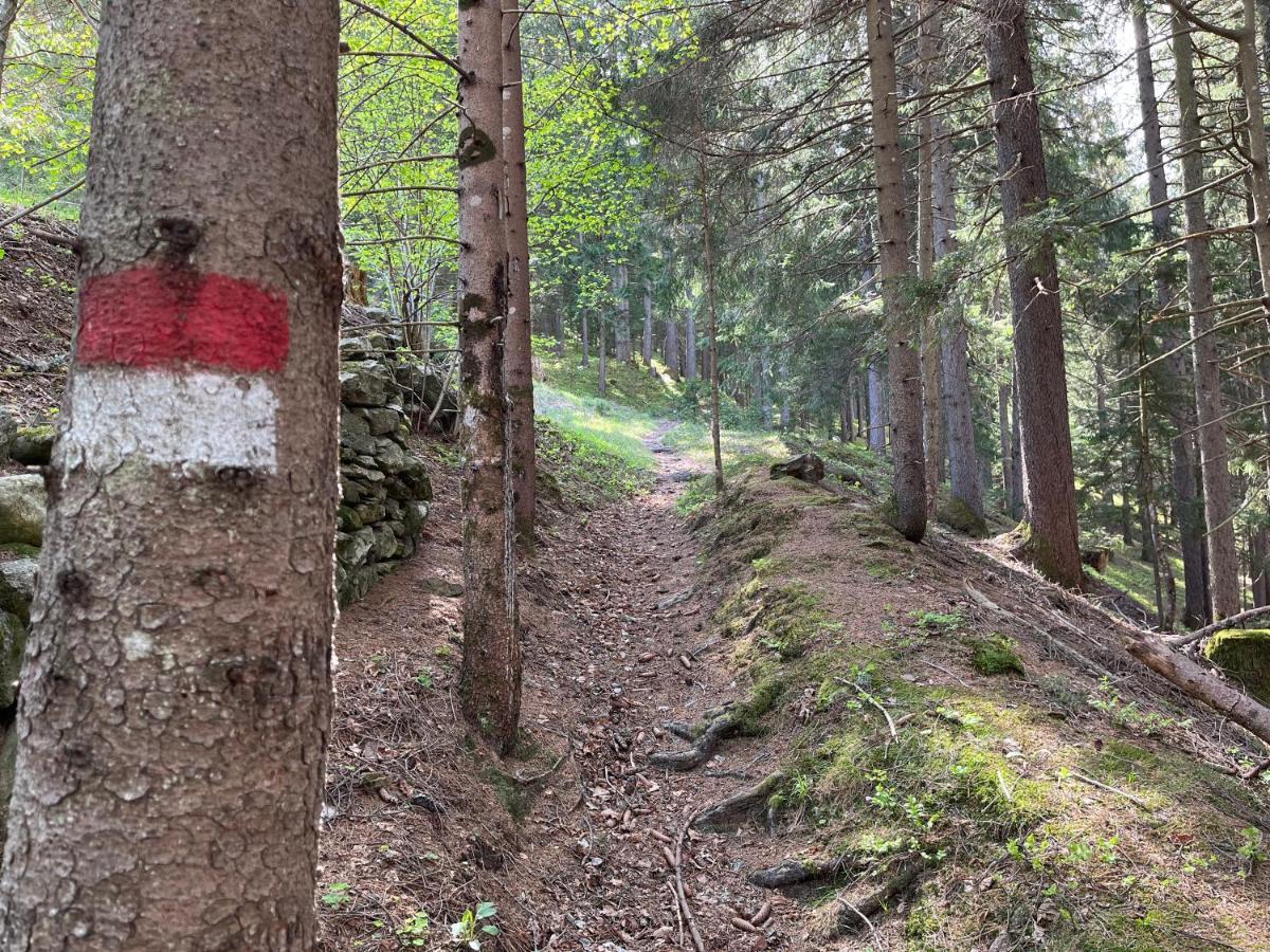 Haus Seebach Mallnitz Buitenkant foto